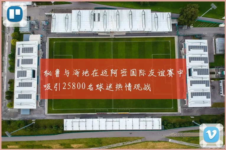 秘鲁与海地在迈阿密国际友谊赛中吸引25800名球迷热情观战